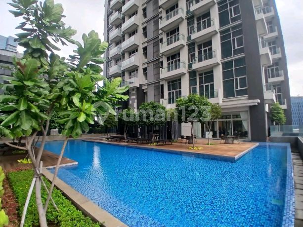 Luxurious Apartment In Premium Location For Lease Luxurious Apartment In Premium Location For Lease