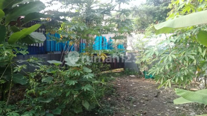 Dijual Tanah Datar Komplek Rscm Cilebut Dijual Tanah Datar Komplek Rscm Cilebut