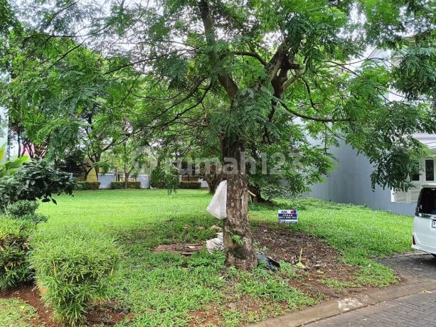 Plot Body View Ultimo Foresta Garden BSD City Plot Body View Ultimo Foresta Garden BSD City