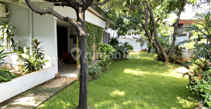 Rumah Komersial Cempaka Putih Tengah 24X39 Rumah Komersial Cempaka Putih Tengah 24X39