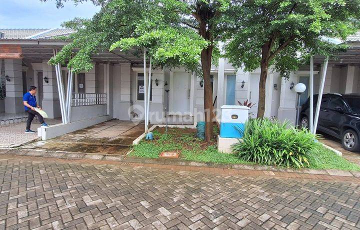 Rumah Minimalis Di Rosemary Tanjung Bunga Dekat Sekolah Pip