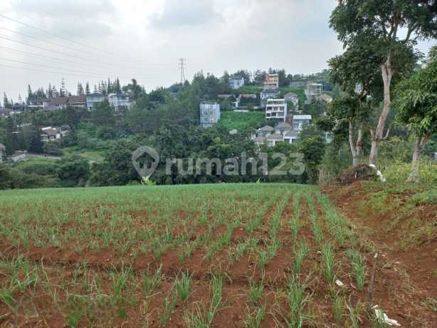 Dijual Cepat Tanah Luas Samping Dago Pakar Resort Harga Ok Banget!!!Cocok Jadi Komplek Villa Keluarga Dijual Cepat Tanah Luas Samping Dago Pakar Resort Harga Ok Banget!!!Cocok Jadi Komplek Villa Keluarga