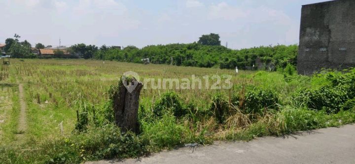 Dijual Tanah Sawah Di Masjid Jamie' Nurul Amal, Jl. Raya Peruri Rt.03/rw.02, Sirnabaya, Telukjambe Timur, Karawang, Jawa Barat, Indonesia, 41361, Karawang Barat Shm 6000.0 Dijual Tanah Sawah Di Masjid Jamie' Nurul Amal, Jl. Raya Peruri Rt.03/rw.02, Sirnabaya, Telukjambe Timur, Karawang, Jawa Barat, Indonesia, 41361, Karawang Barat Shm 6000.0