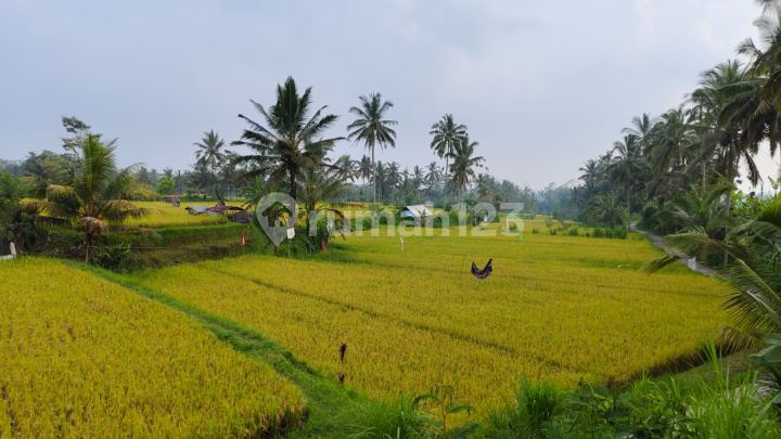 Dijual Tanah View Cantik Cocok Untuk Hotel Villa Dan Resort Dijual Tanah View Cantik Cocok Untuk Hotel Villa Dan Resort