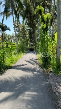 Dijual Tanah Diubud Lingkungan Villa Dan Resort Akses Mobil Dijual Tanah Diubud Lingkungan Villa Dan Resort Akses Mobil