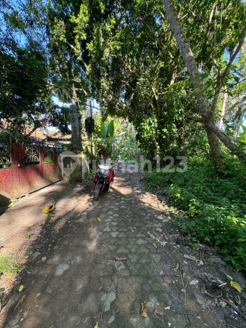 Dijual Lahan Dekat Pusat Ubud Shm Cocok Untuk Vila/rumah Dijual Lahan Dekat Pusat Ubud Shm Cocok Untuk Vila/rumah