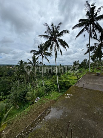 Dijual Tanah di Utara Ubud Butuh Uang Cepat View Cantik