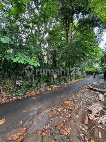 Dijual Tanah Murah View Sungai Ubud Cocok untuk Vila/Investasi