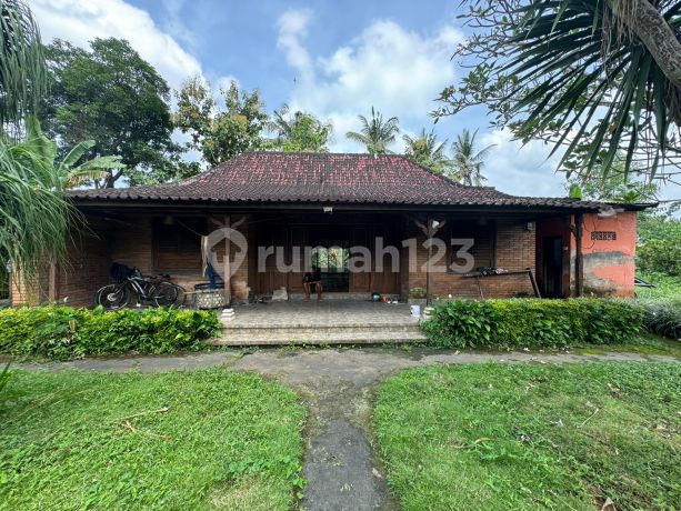 Dijual Villa Hitung Harga Tanah Saja Di Ubud View Sawah Di Lt.2 Dijual Villa Hitung Harga Tanah Saja Di Ubud View Sawah Di Lt.2