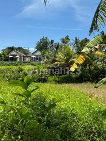 Dijual Tanah View Sawah & Sungai - Singakerta, Ubud SHM