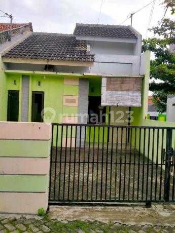 Rumah Nyaman Perum Sinar Waluyo Semarang - 11387 Rumah Nyaman Perum Sinar Waluyo Semarang - 11387