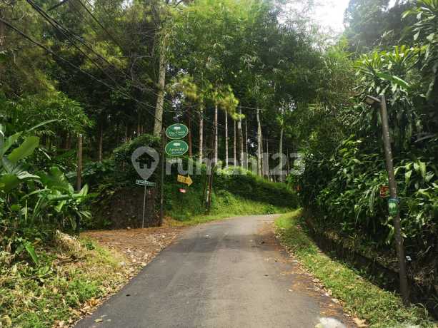 Rumah Minimalis di Dago Umaia Nuansa Alam