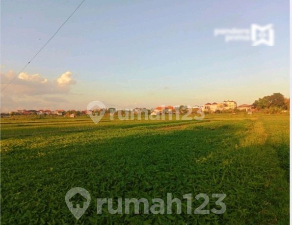 Land for Sale on Jl. Nakula Denpasar