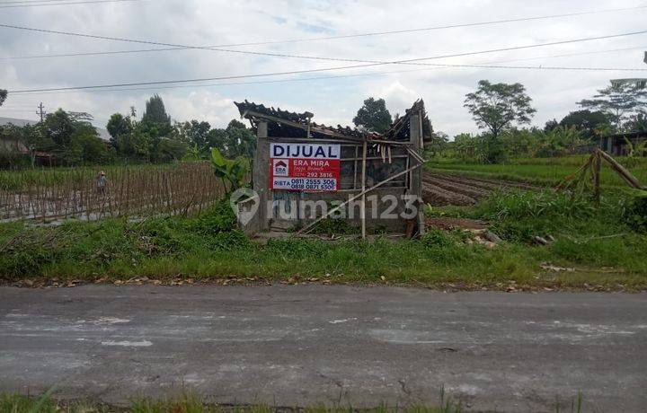 Tanah SHM Pertanian Dekat Pabrik Furniture Area Medari Sleman