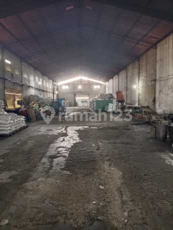 Gudang Miami Kayu Besar Dijual Murah Gudang Miami Kayu Besar Dijual Murah