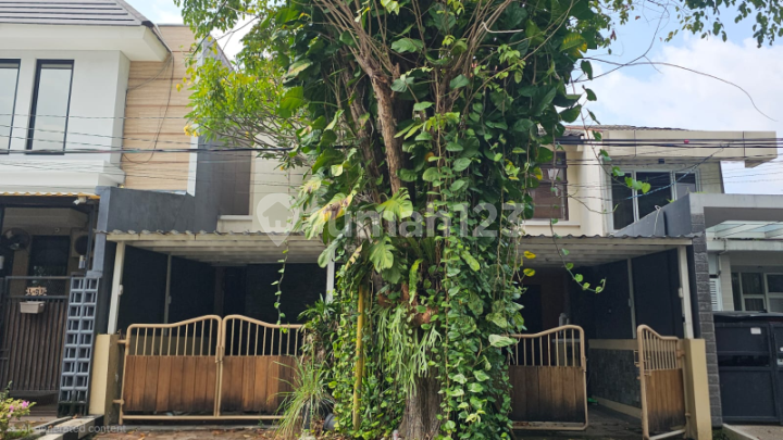 Rumah Darmo Sentosa Raya Surabaya 2 Lantai Rumah Darmo Sentosa Raya Surabaya 2 Lantai
