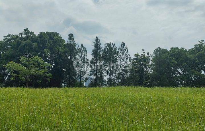 Dijual Kavling Sertipikat View Golf Mediterania Sentul City