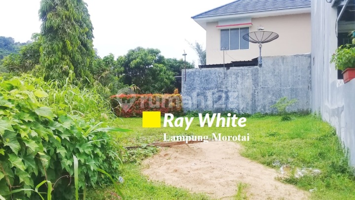 Tanah Kavling Siap Bangun di Komplek Perumahan Puri Flamboyan, Rempoa, Tangsel Tanah Kavling Siap Bangun di Komplek Perumahan Puri Flamboyan, Rempoa, Tangsel