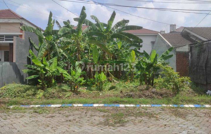 TANAH KAHURIPAN NIRWANA VILLAGE PUSAT KOTA SIDOARJO SIAP BANGUN. Hadap Barat. Row Jalan 2 Mobil