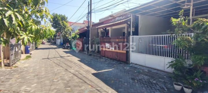 Asri Citra Tropodo House, Waru, Sidoarjo Asri Citra Tropodo House, Waru, Sidoarjo