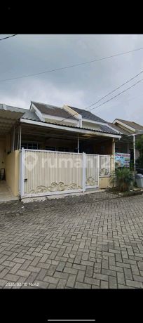 Rumah Modern Minimalis 1 Lantai Kemang Regency Bogor Timur