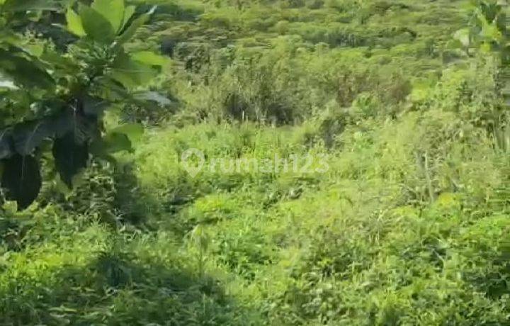 Dijual Kavling Sentul 100ha, Lokasi Bagus, Belakang Permata Sentul Golf Club