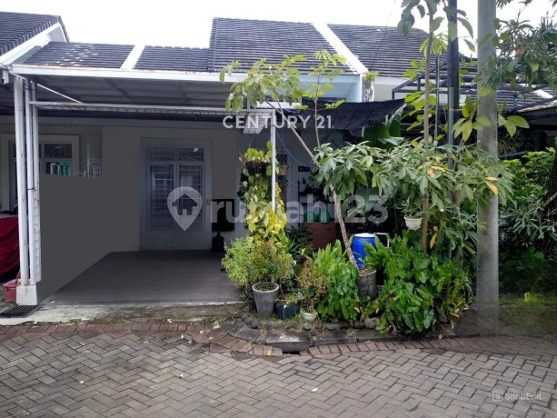 Rumah Siap Huni Dekat Kampus Unhas di Cluster Akasia Tallasa City Rumah Siap Huni Dekat Kampus Unhas di Cluster Akasia Tallasa City