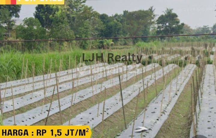 Tanah Medari Kawasan Industri 