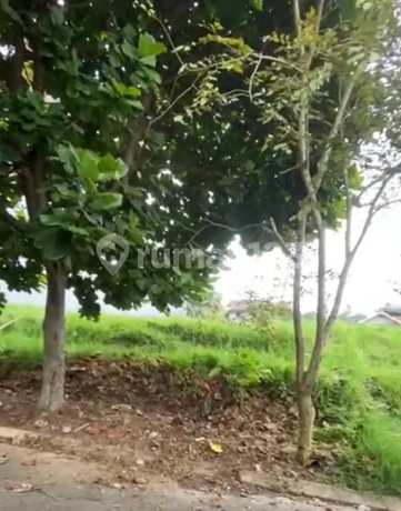 Tanah Kavling Murah Bagus Di Acasia Raya Budi Indah Bandung Tanah Kavling Murah Bagus Di Acasia Raya Budi Indah Bandung