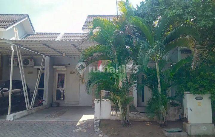 Termurah Rumah Puri Surya Jaya Valencia Terrace Paling Murah