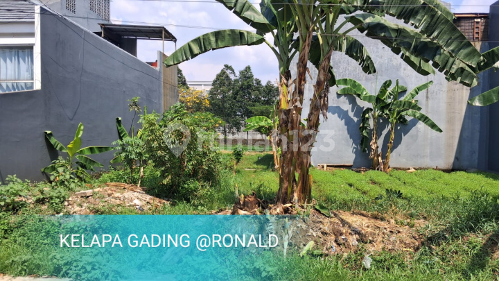 Termurahh!! Jual Kavling Tanah Kelapa Gading 8X15 Harga 1M-An Termurahh!! Jual Kavling Tanah Kelapa Gading 8X15 Harga 1M-An