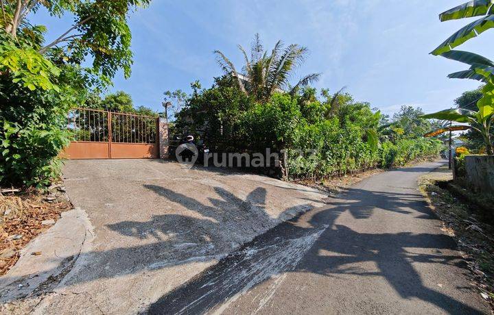 Tanah di Ciomas Permai Cocok Untuk Cluster Perkebunan Atau Villa