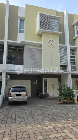 Gading Lavender 1110 Gading Lavender 1110