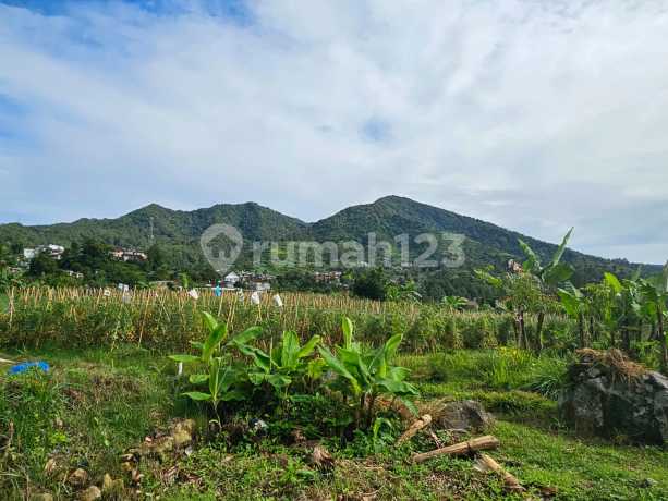 Turun Harga Tanah Coolibah Puncak View Gunung 5220m2