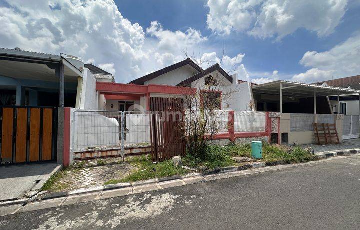 Rumah Siap Huni Murah Row Lebar Surabaya Barat Sambikerep Indah