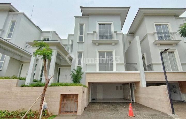 SOUTH GROVE LEBAK BULUS