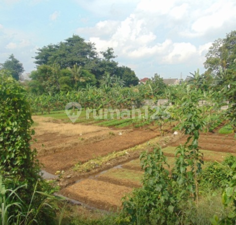 Budi Agung Housing Estate Land
Sereal, Bogor Budi Agung Housing Estate Land
Sereal, Bogor