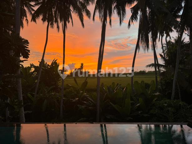 Jual Cepat! Beautiful Villa With River, Ricefield, And Sunset View In Pantai Purnama, Sukawati, Gianyar Jual Cepat! Beautiful Villa With River, Ricefield, And Sunset View In Pantai Purnama, Sukawati, Gianyar