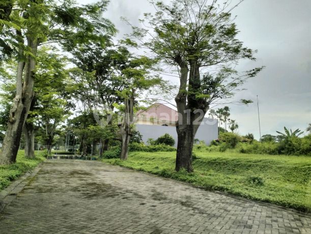 Dijual Tanah Citraland Teluk Golf Puncak Golf Selat Golf Dekat Universitas Ciputra