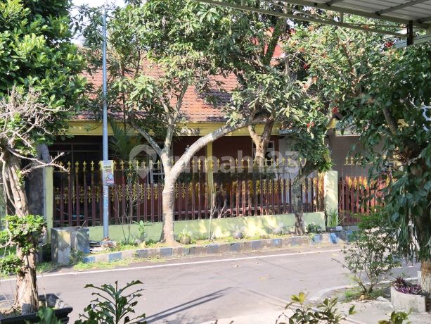 Rumah Murah Luas 183 M2 Area Perumahan Borobudur Agung Suhat
