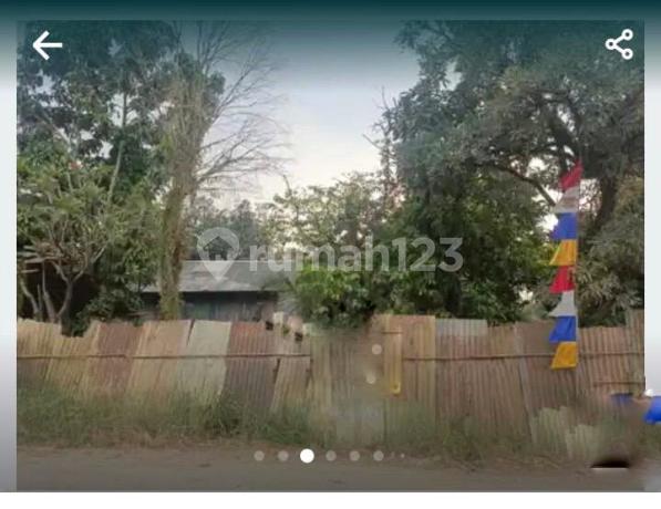 Land for Sale Near Pesona Palad Housing, Klapanunggal, Cileungsi Land for Sale Near Pesona Palad Housing, Klapanunggal, Cileungsi