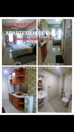 Affordable Apartments in Orchard Tanglin Pakuwon Mall Ptc West Surabaya
