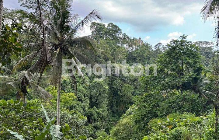 LAHAN DENGAN VIEW BAGUS DI KELIKI, UBUD RIVERSIDE - BALI