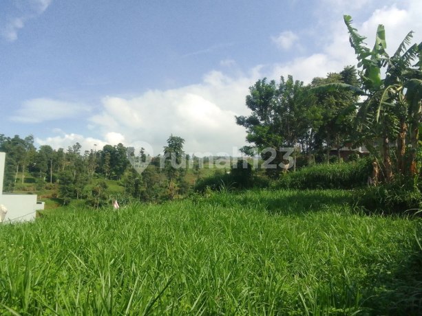 Murah! Dijual Tanah Produktif Dekat Cipageran Cimahi Utara