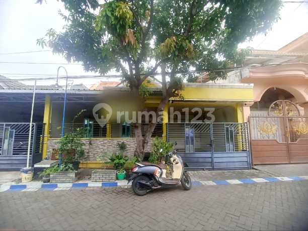 Rumah Siap Huni di Citra Tropodo Sidoarjo Bebas Banjir Rumah Siap Huni di Citra Tropodo Sidoarjo Bebas Banjir