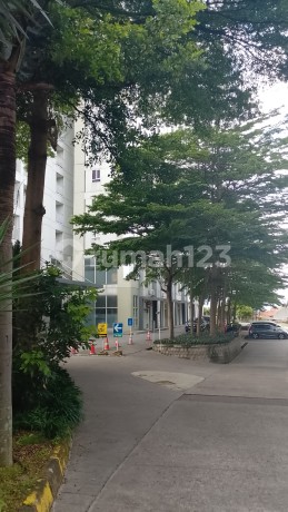 Jual Apartement Murah Dekat Kampus Unpad Itb Jatinangor Jual Apartement Murah Dekat Kampus Unpad Itb Jatinangor
