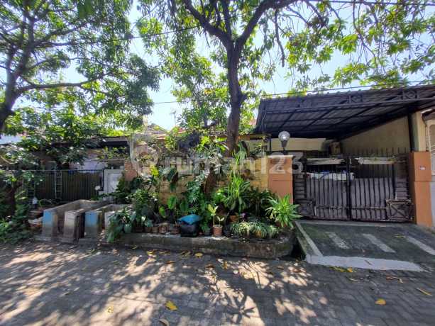 Rumah Sudah Renov Pondok Candra Waru Rumah Sudah Renov Pondok Candra Waru