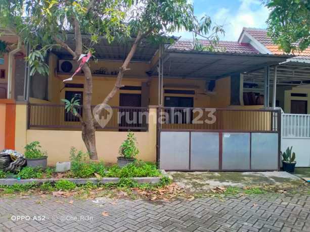 Dijual Rumah Termurah di Puri Indah Sidoarjo Kota Dijual Rumah Termurah di Puri Indah Sidoarjo Kota