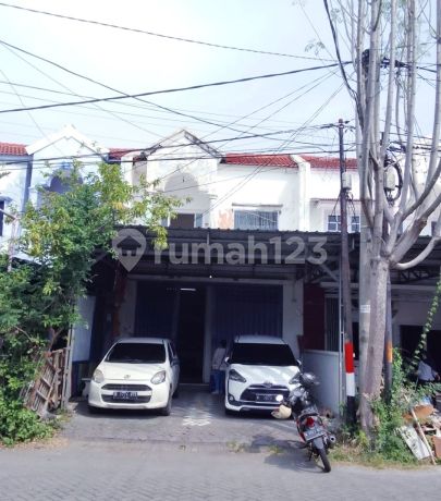 Disewakan Ruko Lokasi Ramai Strategis Di Graha Anggrek Mas Regency Sidoarjo Disewakan Ruko Lokasi Ramai Strategis Di Graha Anggrek Mas Regency Sidoarjo