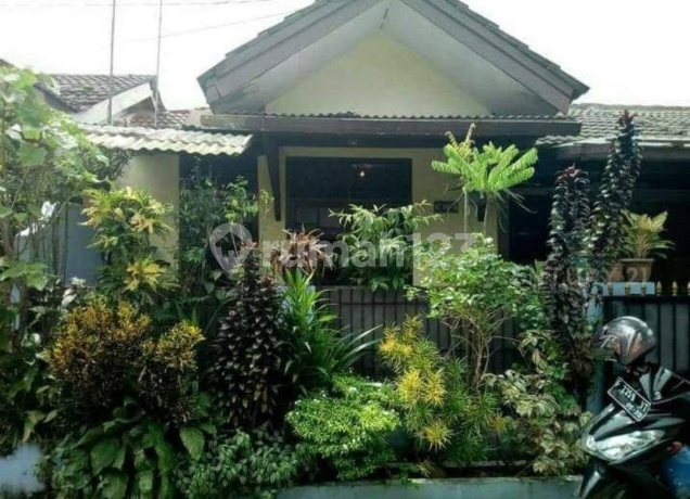 Rumah Siap Huni Di Ciomas Permai Bogor Dekat Terminal Laladon